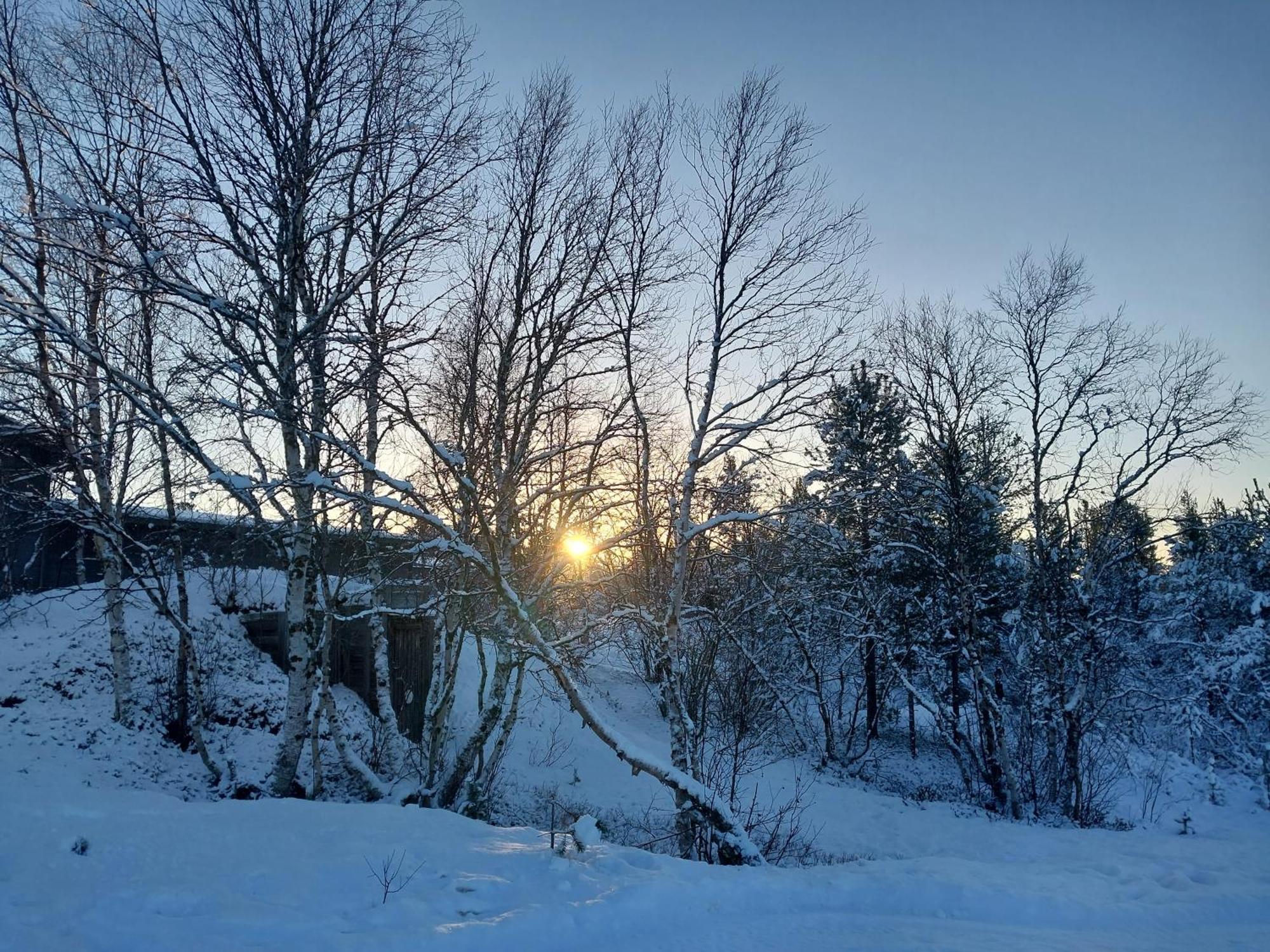 Muotkan Ruoktu Tunturikyla Ferienhaus Inari